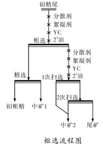 粗選流程圖